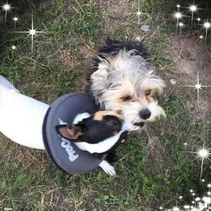 Meet your Posher, Patricka